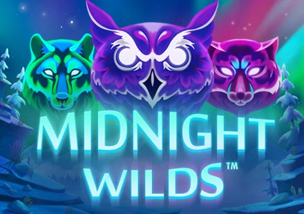 Midnight Wilds